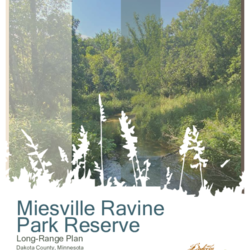 Miesville Ravine Park Reserve Long-Range Plan thumbnail icon