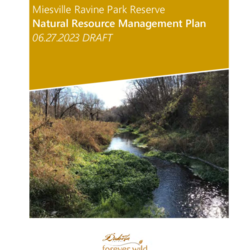Miesville Ravine Natural Resources Management Plan thumbnail icon